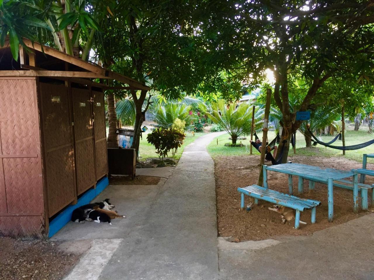 Fat Monkey Hostel Coron Luaran gambar